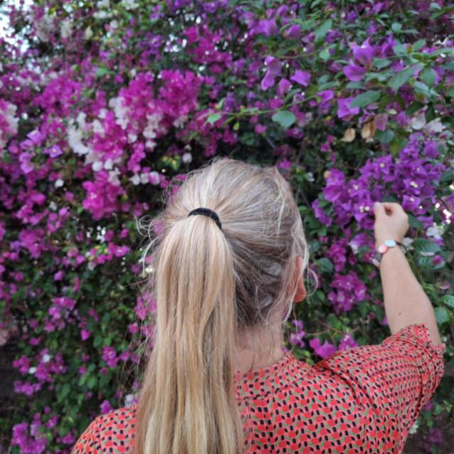 Ontkiemen hulpverlening